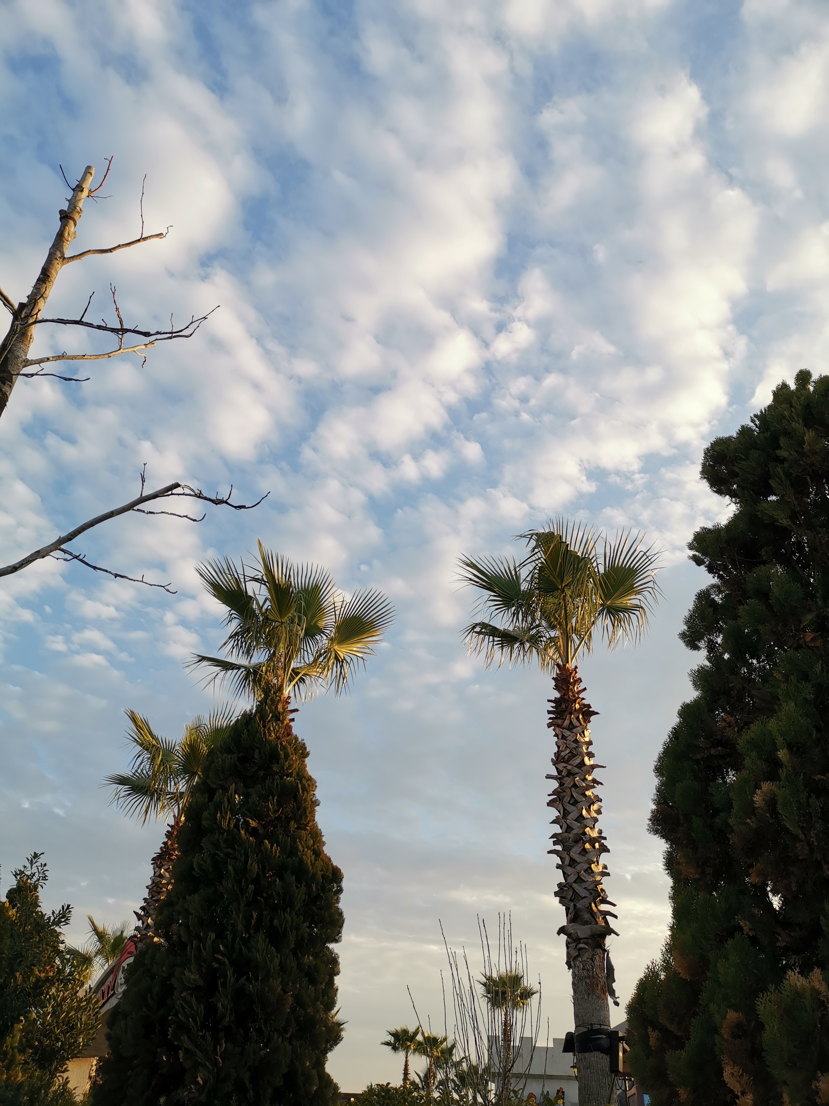 名古屋乐高乐园门票,日本名古屋乐高主题乐园