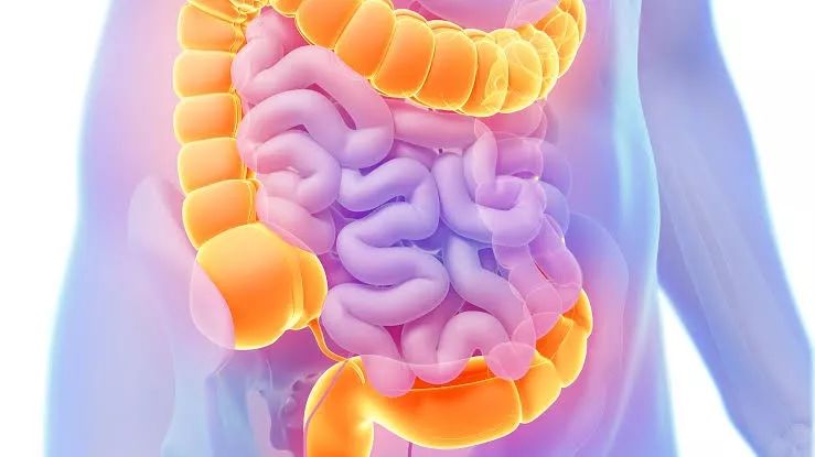 结肠癌的发生和治疗,都不要忽略肠道菌群