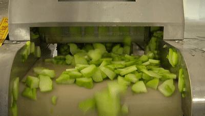 有人说白色佛手瓜致癌是真的吗,连着吃七八天的佛手瓜会致癌吗