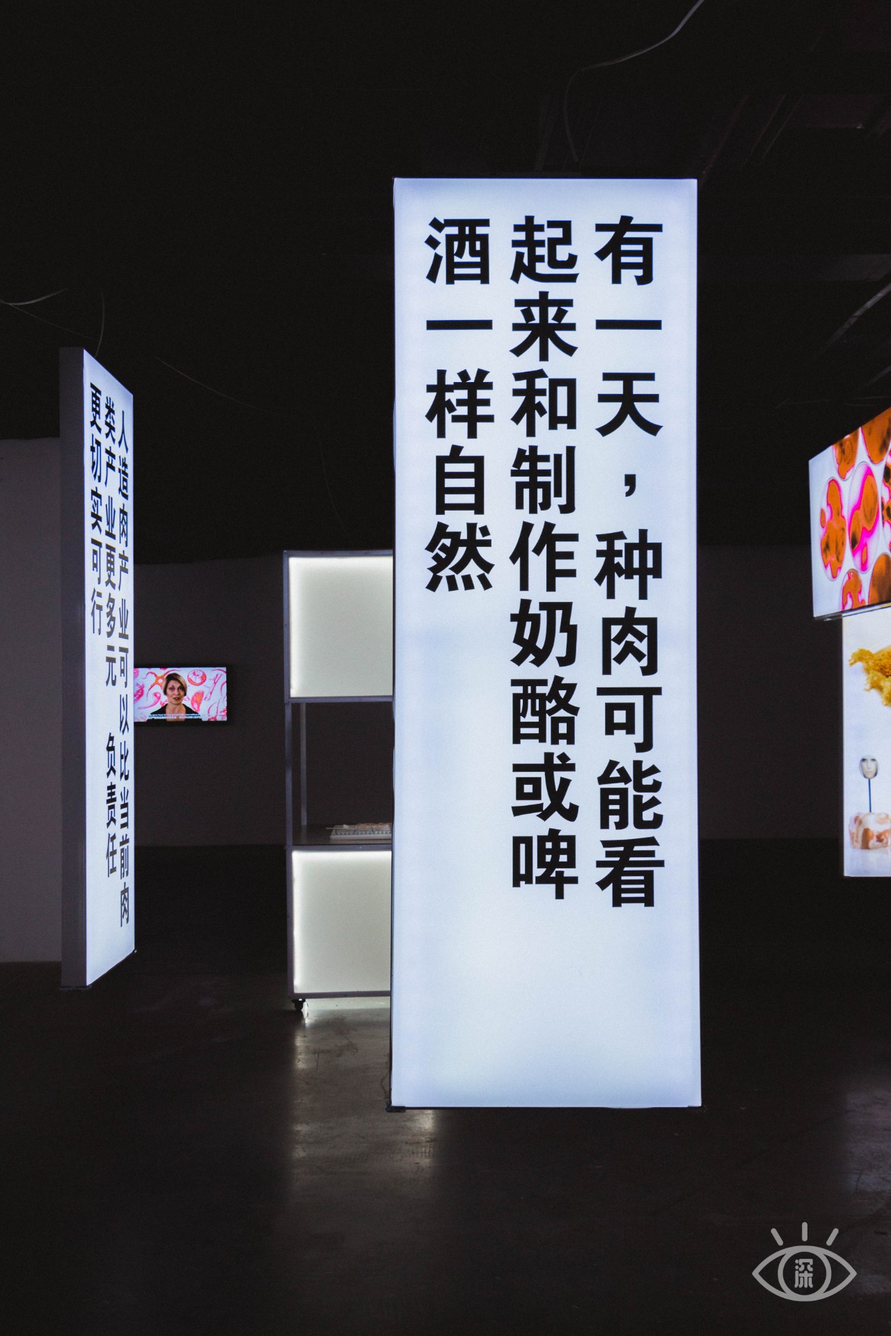 深圳福田美术馆,深圳艺术博物馆有什么值得看的