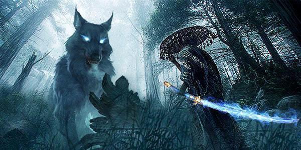 5本完结多年仍是经典的网络小说,六本冷门但很有看点的网络小说