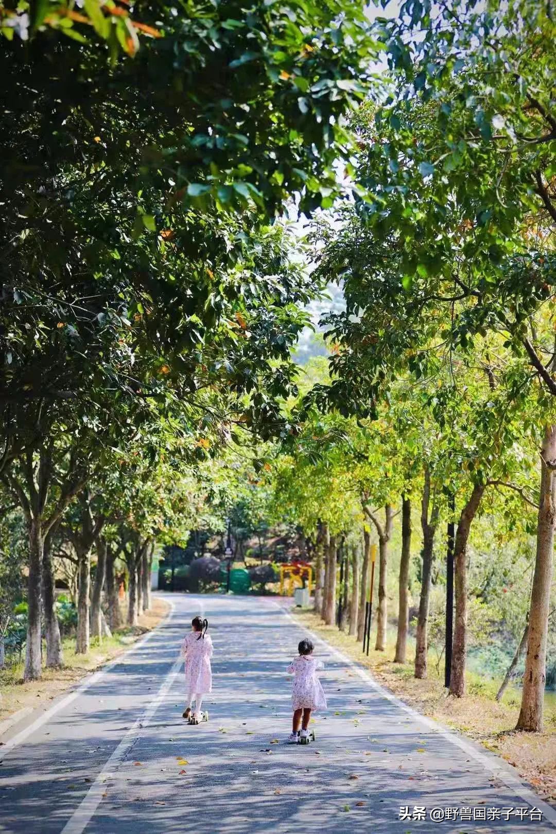 广州遛娃旅游推荐路线攻略,广州遛娃清单升级版