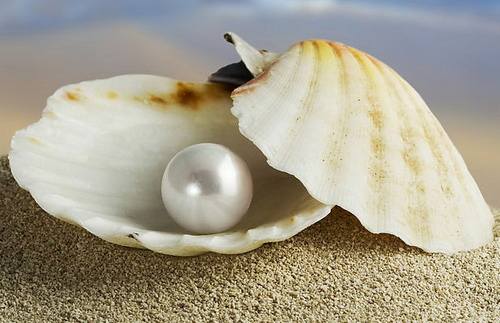 珍珠粉是公认的美白高手,真正美白的珍珠粉