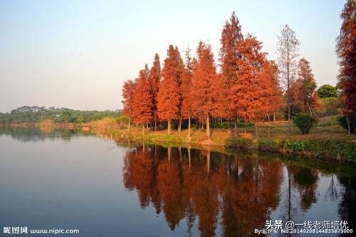 我的拿手好戏六年级600字优秀作文,习作我的拿手好戏六年级上册400字