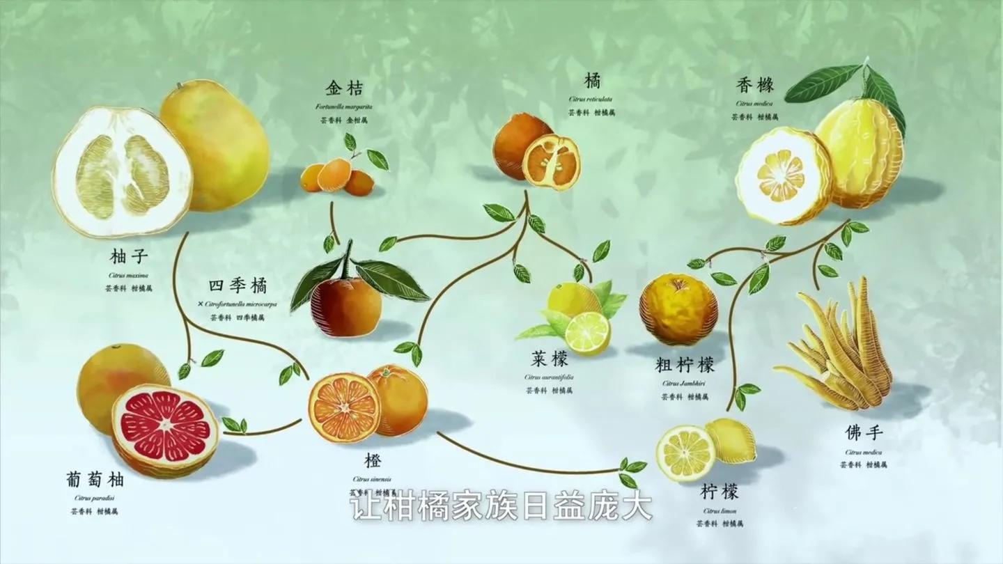 美丽的秋光,厚重秋色