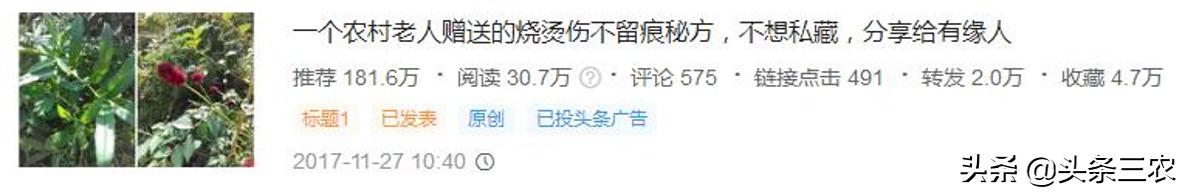 怎么写出又好又叫座的图文？掌握“三问六要诀”|三农讲座大咖说