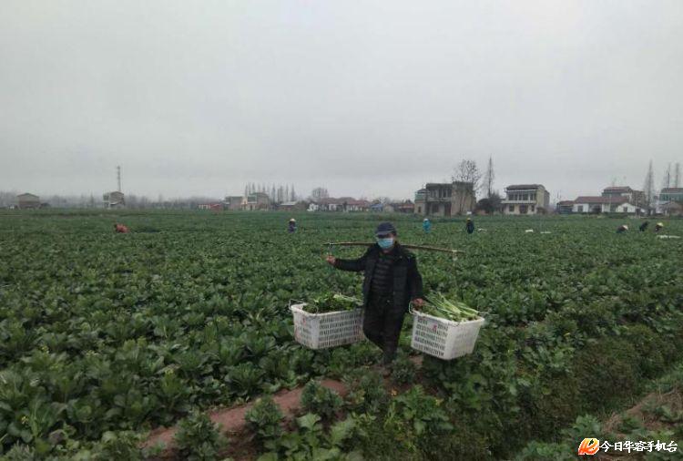 信息化助农行动常德,信息化助农行动农业生产融资难