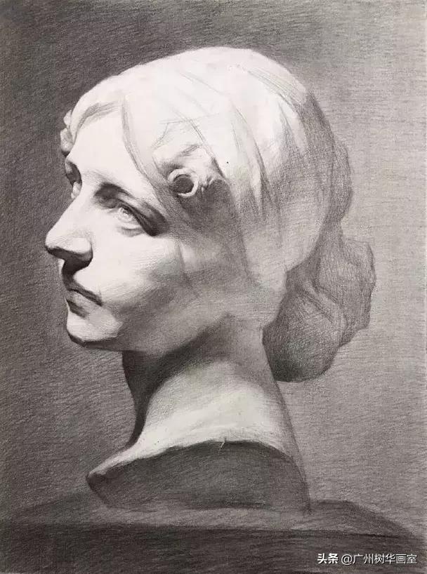石膏头像大卫素描教程步骤,素描石膏鼻子的步骤入门