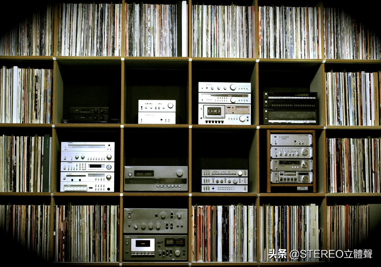 她们都很美全文免费阅读,他们都很美丽原版