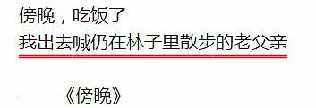 诗刊中的笑话,诗刊主编笑话选