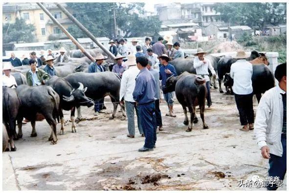潮汕当年很发达吗,潮汕90年代到底有多繁华