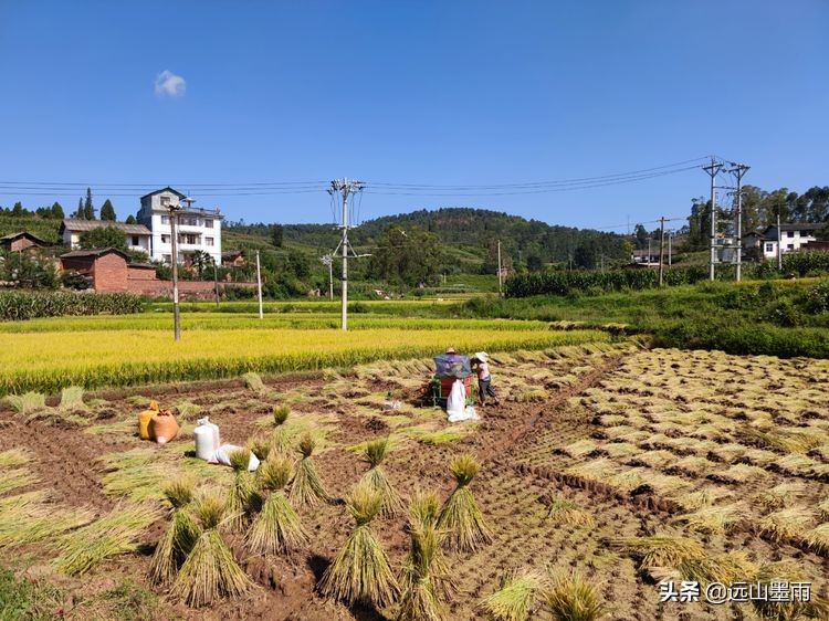 徒步寻访滇西大马路、走“九关十八铺”系列活动之四：回蹬关