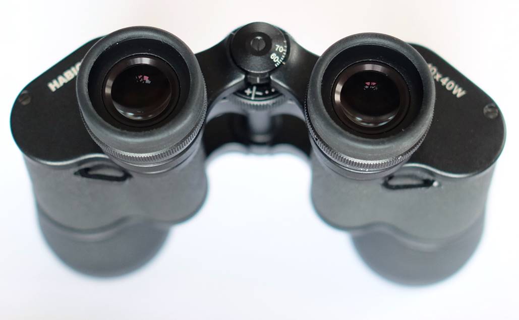 施华洛世奇蓝色天鹅测评,施华洛世奇闪烁白和白色对比