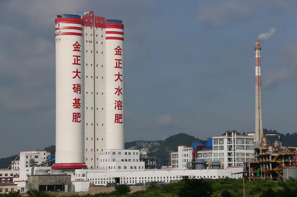 金正大发展历程深度解析,金正大还能东山再起吗