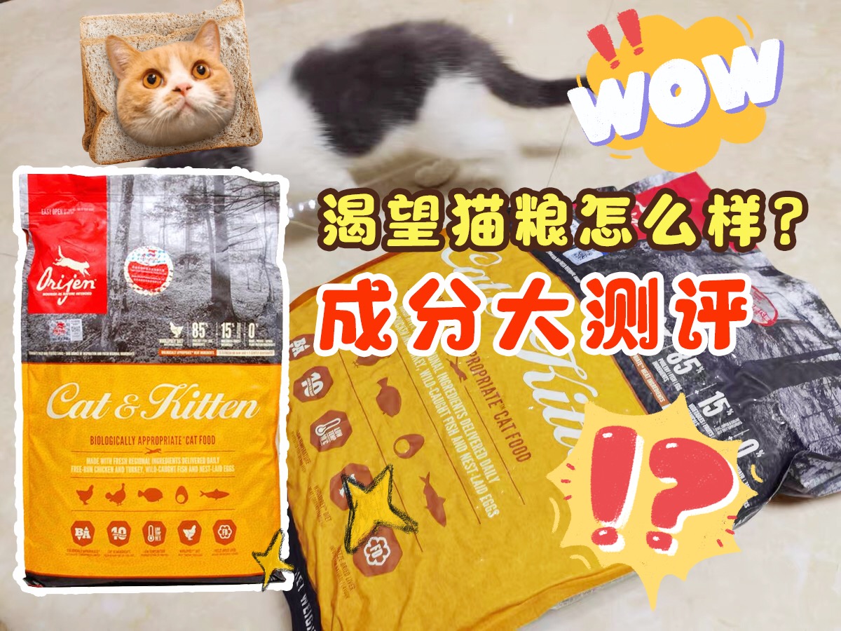 渴望猫粮是全世界最好的猫粮吗,渴望猫粮搭配什么猫粮一起吃好