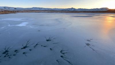 为什么都喜欢用iphone拍照,为什么大家都喜欢用iphone拍照