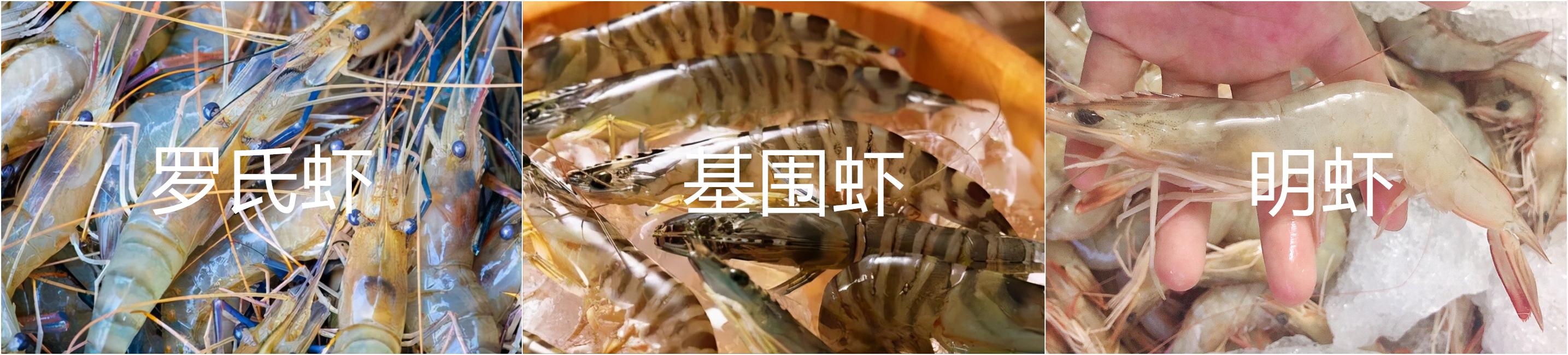 如何区分基围虾罗氏虾明虾,明虾基围虾与罗氏虾有什么区别