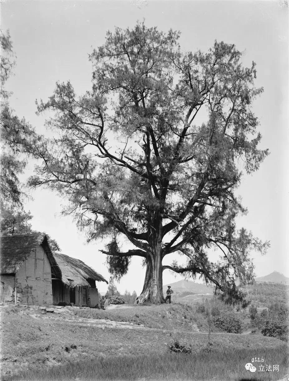 阆中古城兴废史略（中篇）