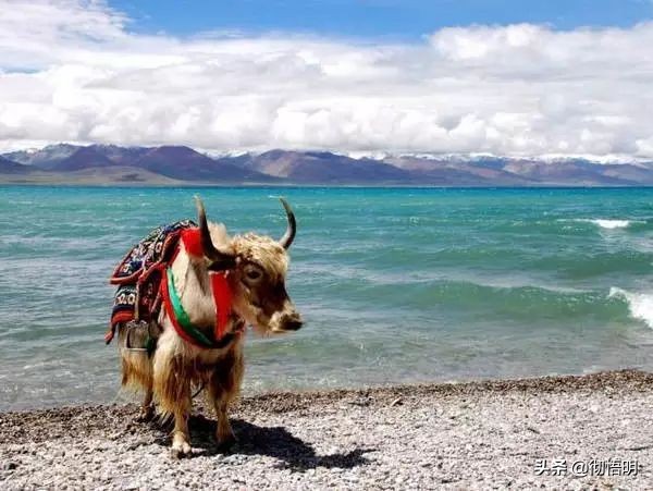 中国最美的地方,中国最美的地方有哪