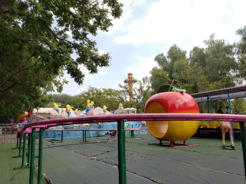 北京适合带娃遛狗的公园推荐,北京适合带娃溜达的公园