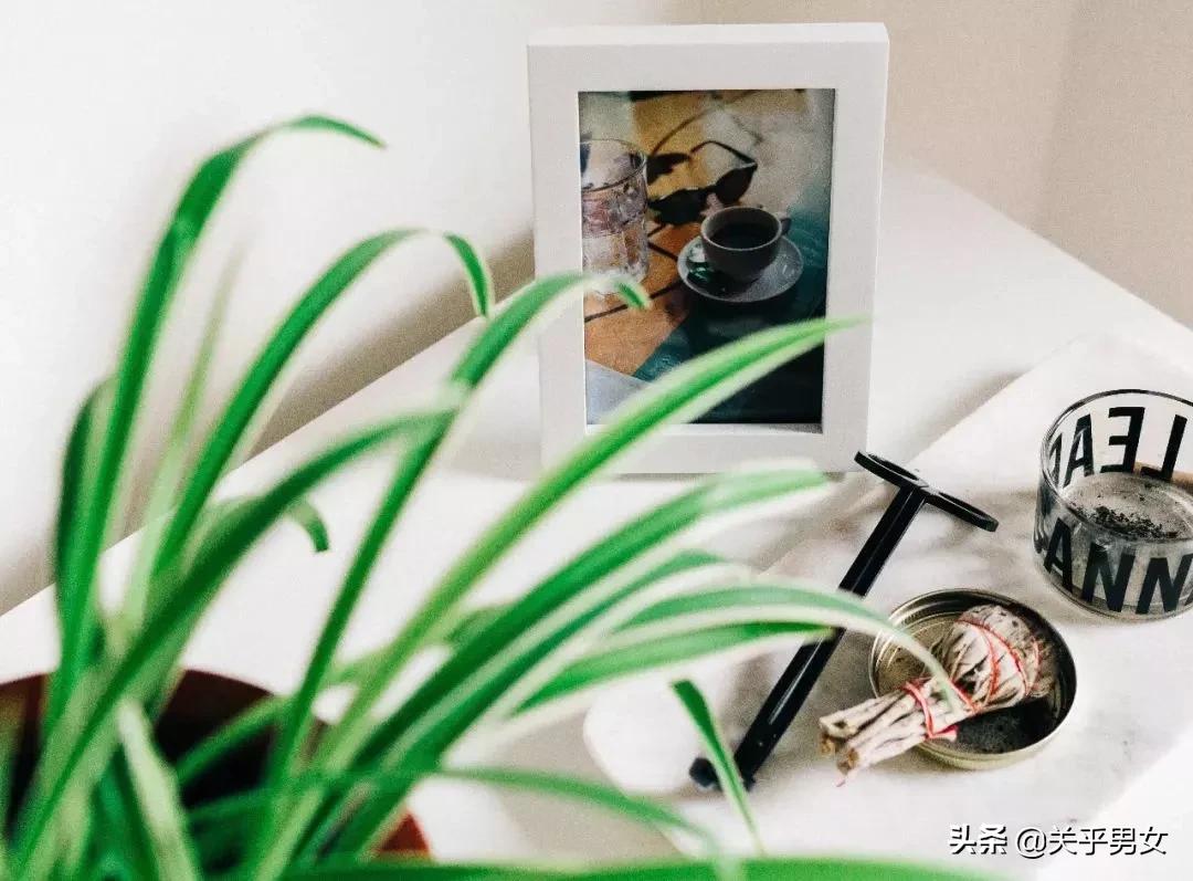 生活中做些什么事情,生活中做哪些事才有意义