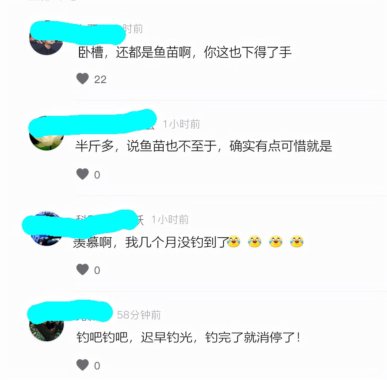 鲈鱼群,鲈鱼群接连上鱼