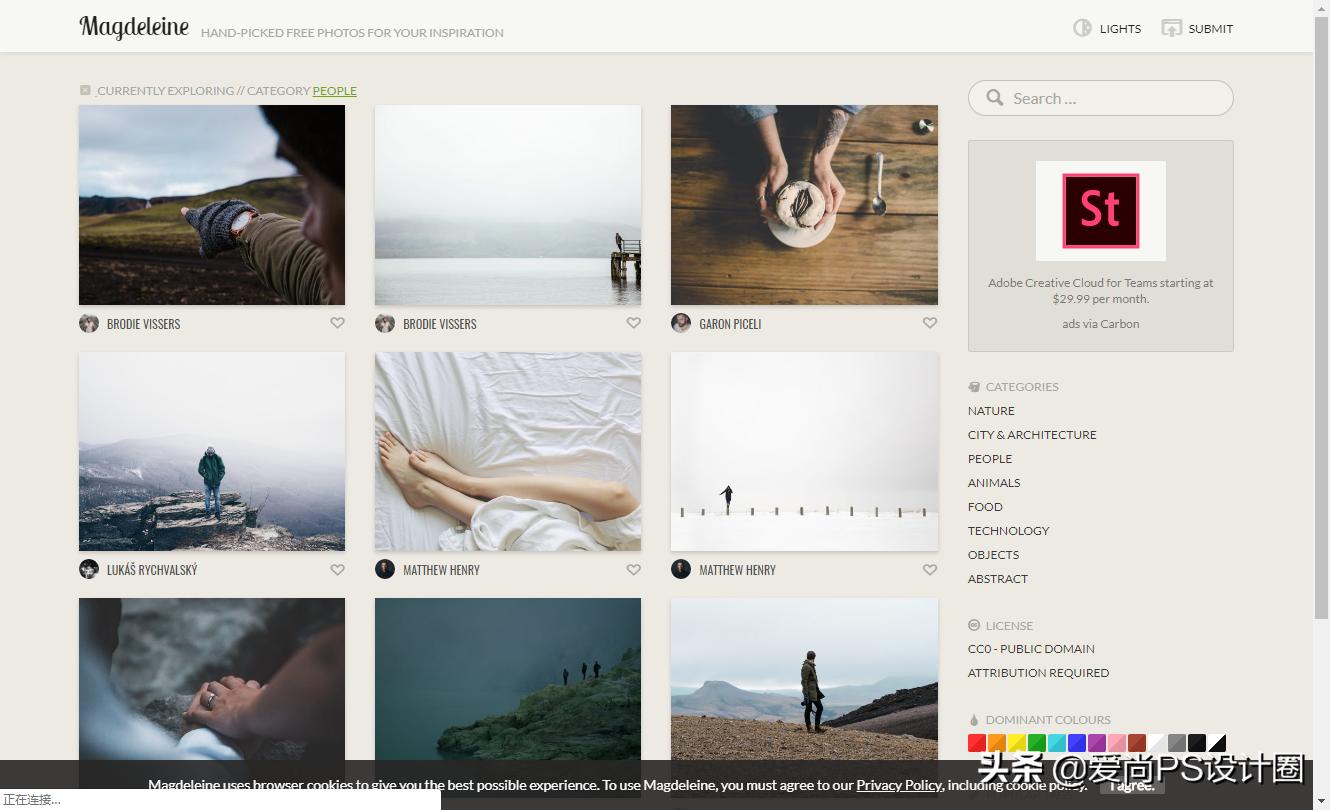花瓣素材库大全免费,花瓣掉下来素材
