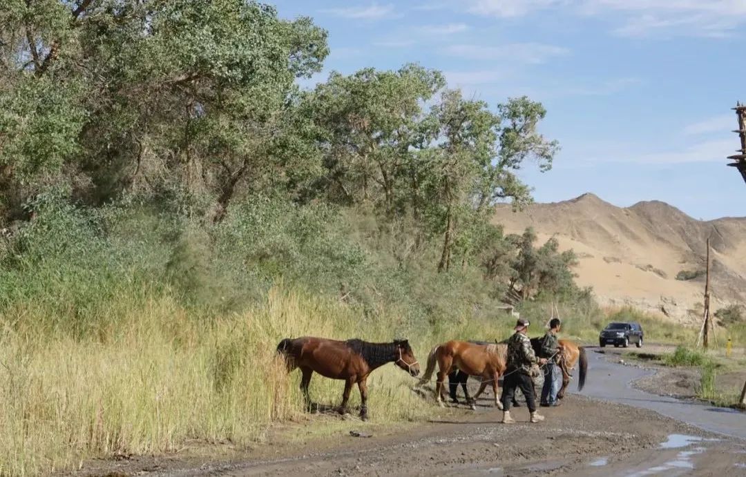 茫崖艾肯泉夏季游攻略,青甘大环线艾肯泉