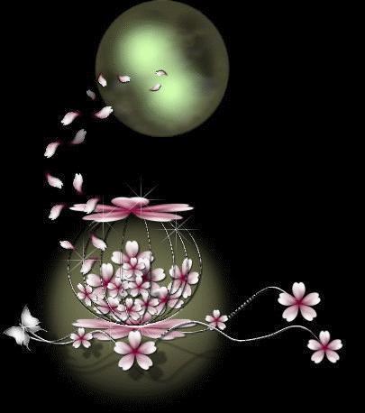 初中文言文一词多义180字,初中文言文一词多义的词