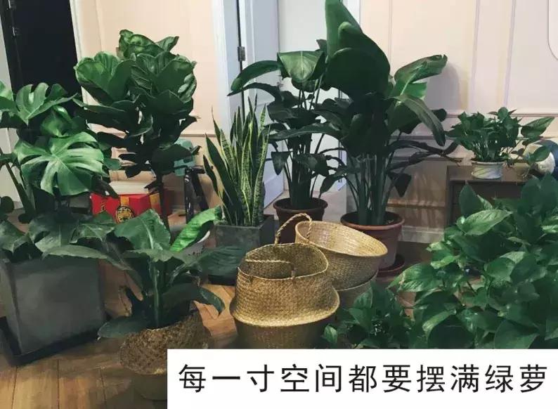 甲醛不超标但一到新房喉咙不舒服,甲醛超标的10个征兆