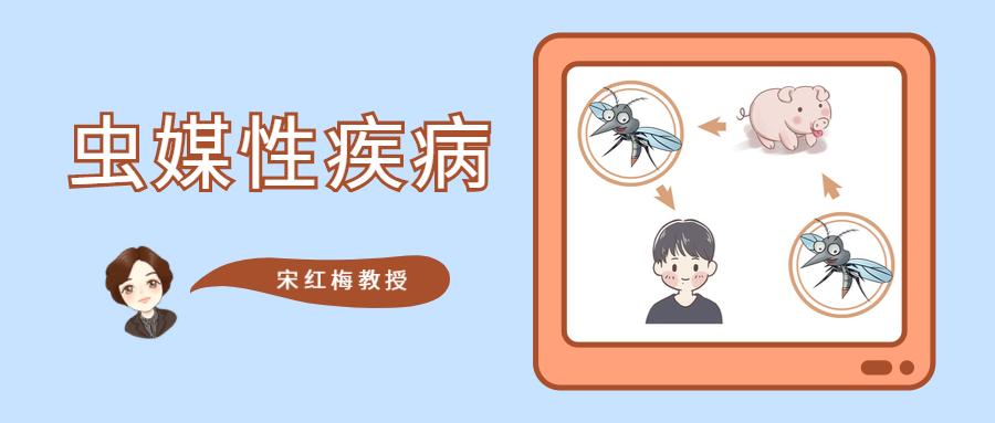 都是蚊子惹的祸,蚊子传播乙型脑炎