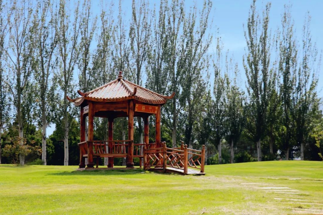 兰州大学怎么发展起来的,兰州大学如何走出困境