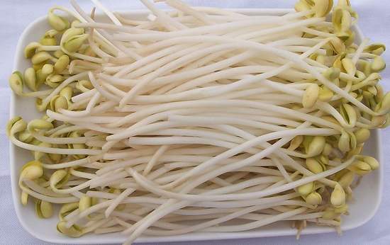 绿豆怎么生出绿豆芽,开水生绿豆芽