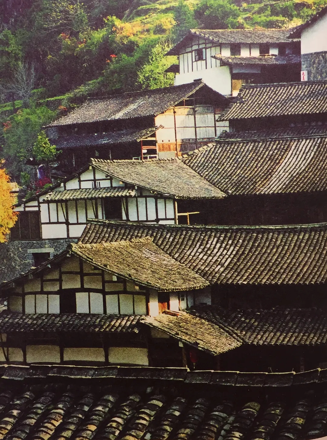 粉墙黛瓦的真面目,揭开民居的面纱