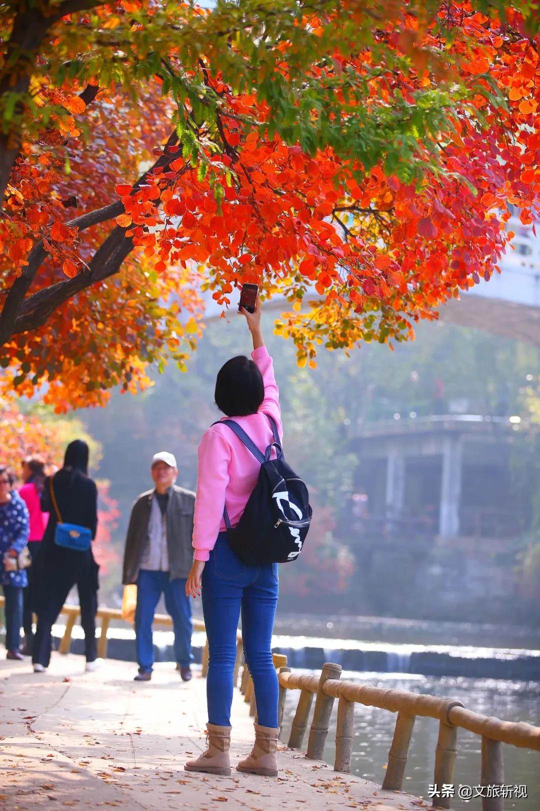 走过南闯过北还是老家最美,走过祖国大江南北还是河南最美