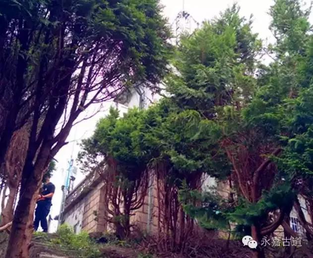 温州四海尖上观日出,初阳如血,美轮美奂,绝无仅有