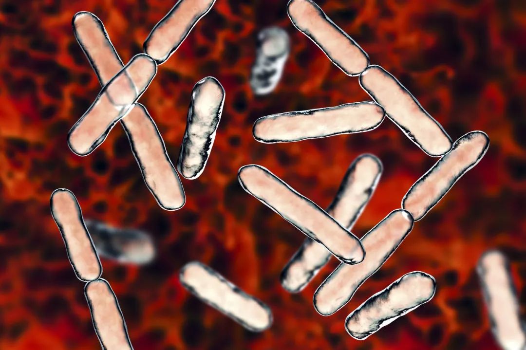 目前对合生元最官方的定义是什么,合生元是真的假的