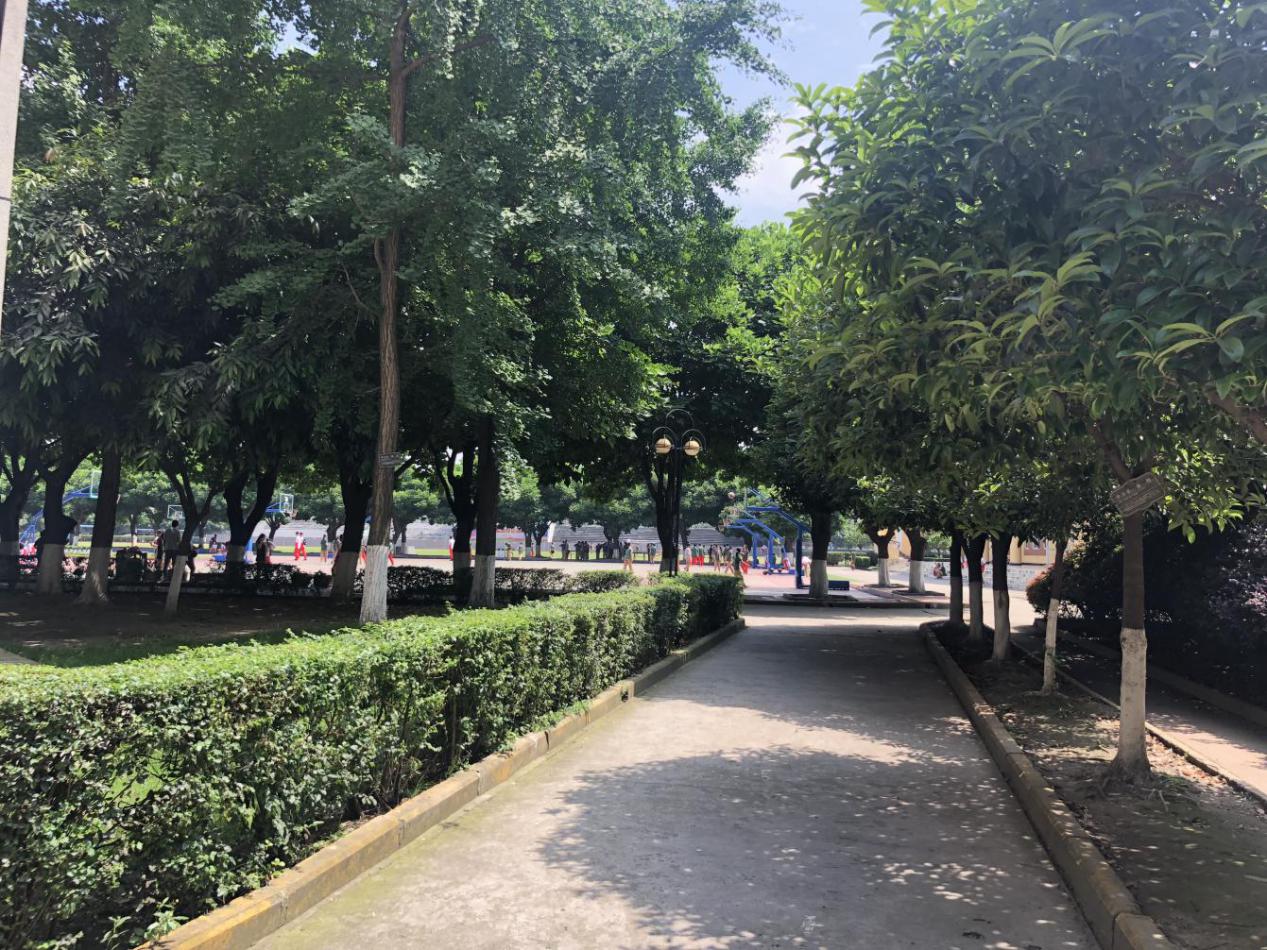 小升初家长参观学校感言,郫都树德博瑞学校初中校风怎么样