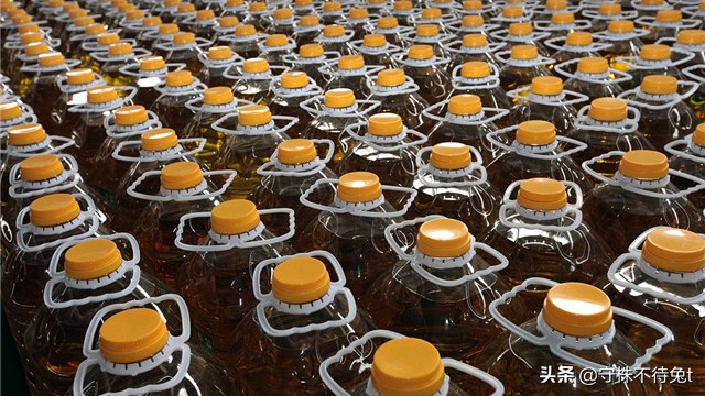 10个冷知识:用手触摸“癞蛤蟆”,手上不会起疙瘩