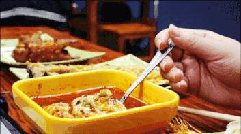 臭屁虫卖到450元一斤,臭屁虫能卖多少一斤