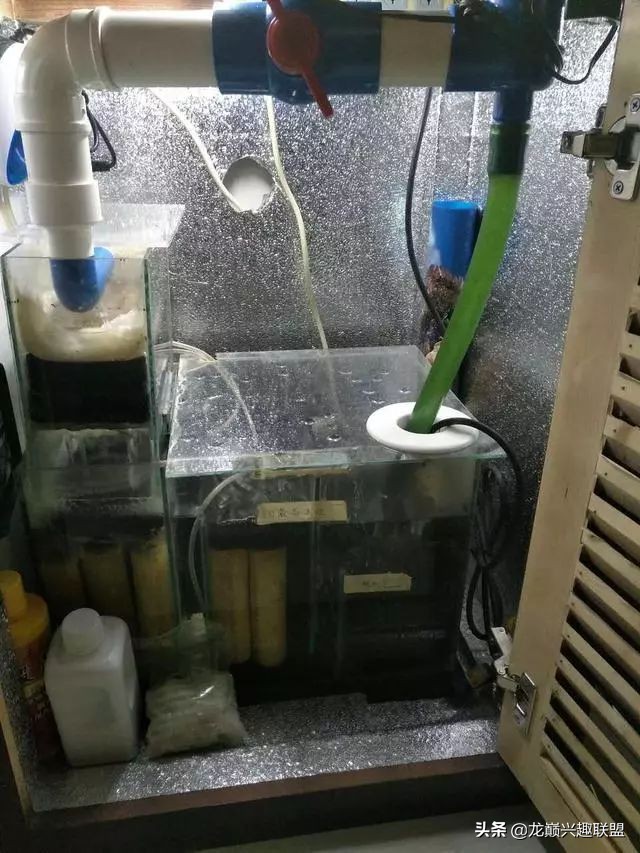 垃圾桶旁边的四方鱼缸，捡回去养了一缸金鱼，别说还挺不错