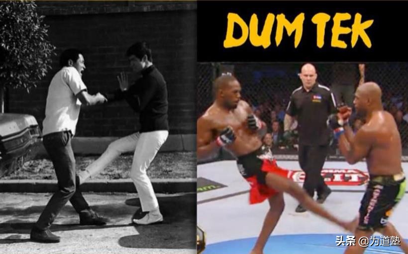 为道塾李小龙,为道塾李小龙龙争虎斗图集