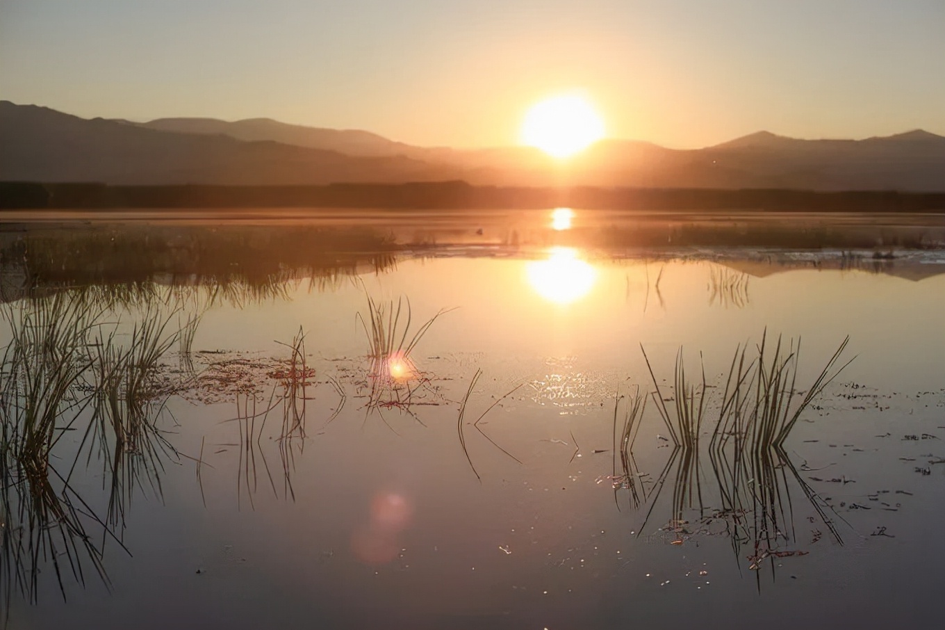 北疆四季,北疆的四季美景