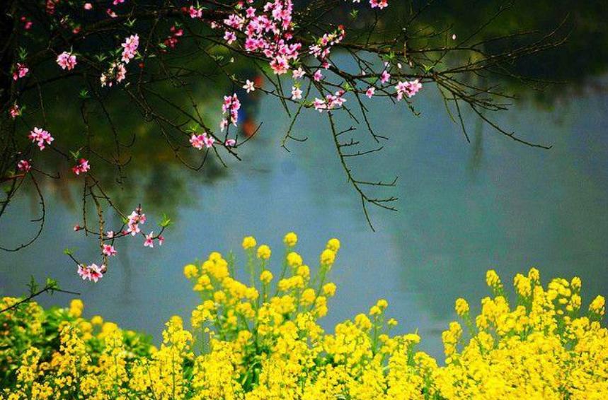 十首写春天的诗,十二首春词