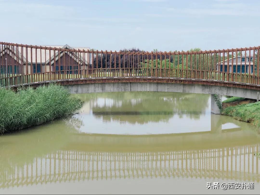 浐灞国家湿地公园最美地方,浐灞湿地公园有啥好玩的