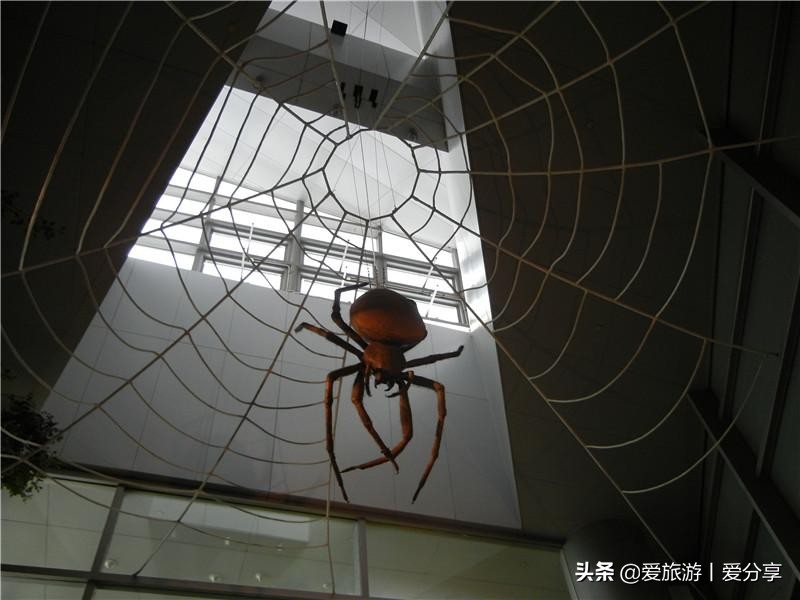 上海科技馆游玩攻略,景点打卡上海科技馆