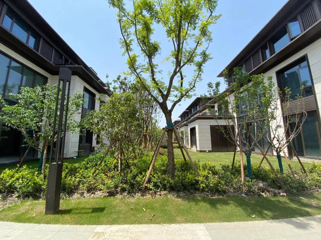 碧云尊邸四房,碧云尊邸联排别墅305平米