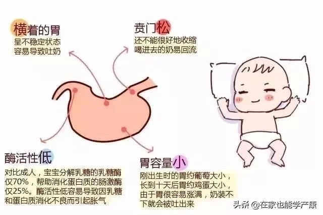 宝宝吐奶有奶瓣怎么回事,吐奶豆腐渣奶瓣的区别