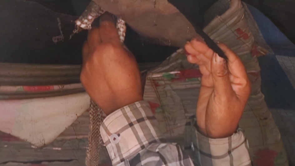 好心奶奶救下蛇20年后,男子救下一条小蛇20年后来报恩