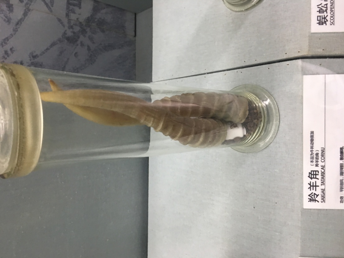 孙思邈的尸体之谜,药王孙思邈一些奇怪理论